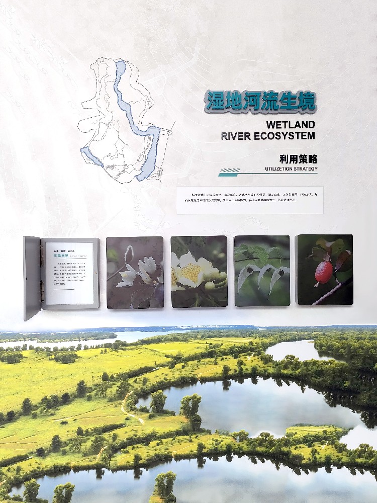 博物館互動展品定制是什么呢？