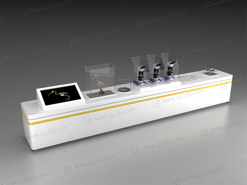 鳥兒為什么能自由飛翔